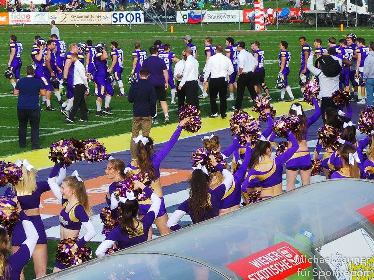 Vikings, Vienna Vikings